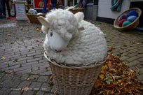 eifel im herbst